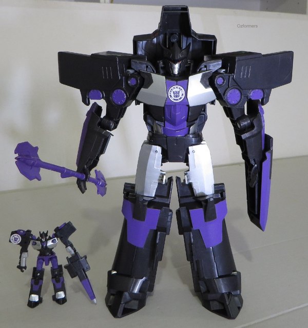 CotTFMegatronus  (11 of 15)